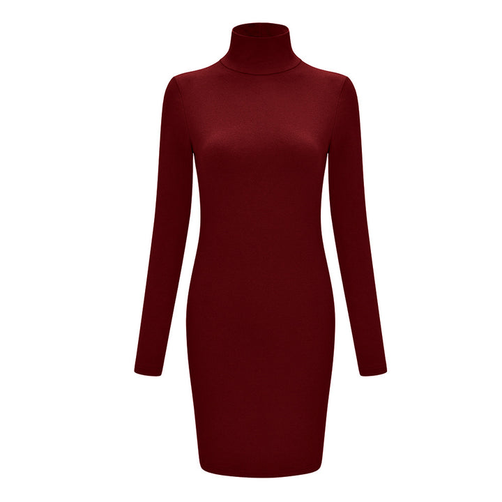 Femme Rullekrave Bodycon Kjole Stilla