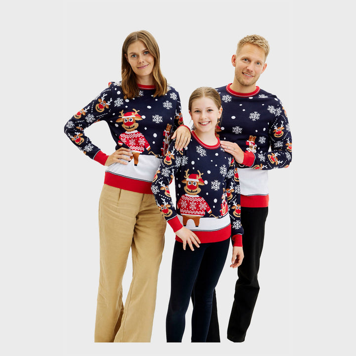 Stilla | Der Bringen julegaver jule-sweater mænd