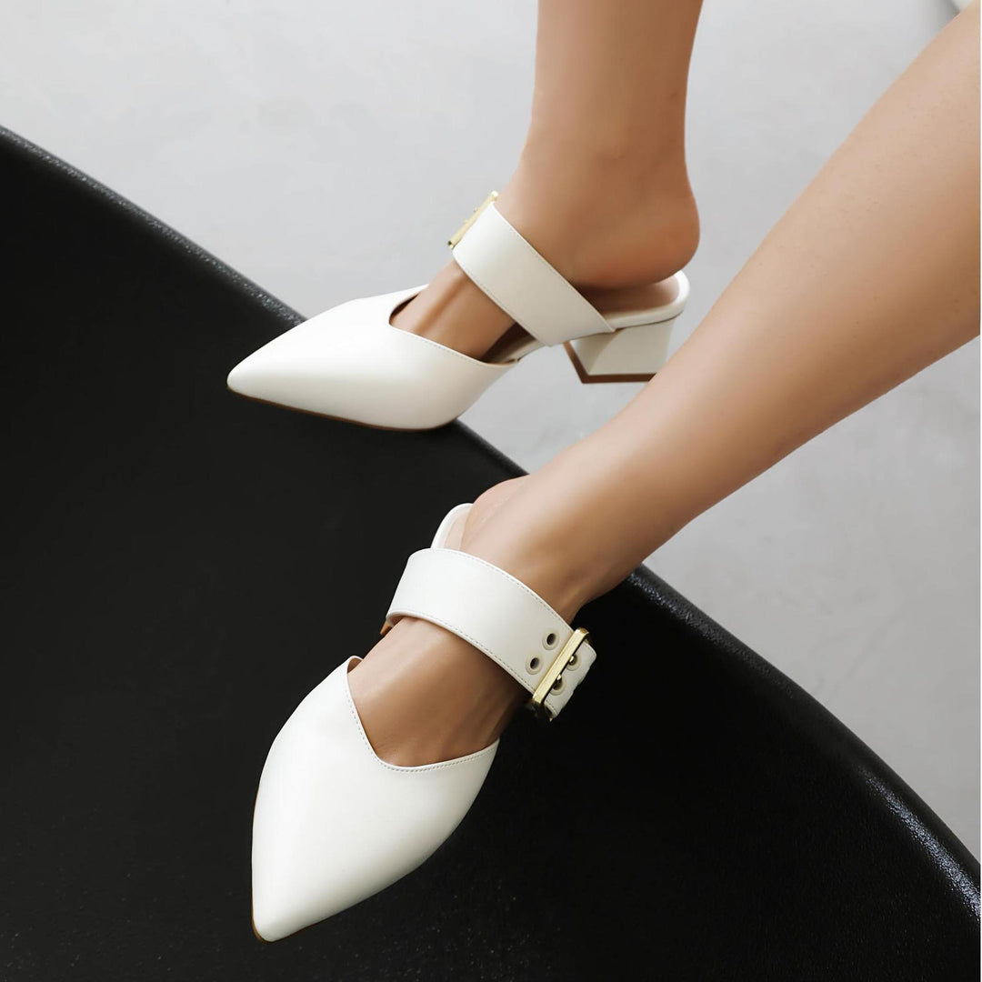 Femme Moderne Spids-TOE Hæl-Mules med Statement Spænde-Detail Stilla