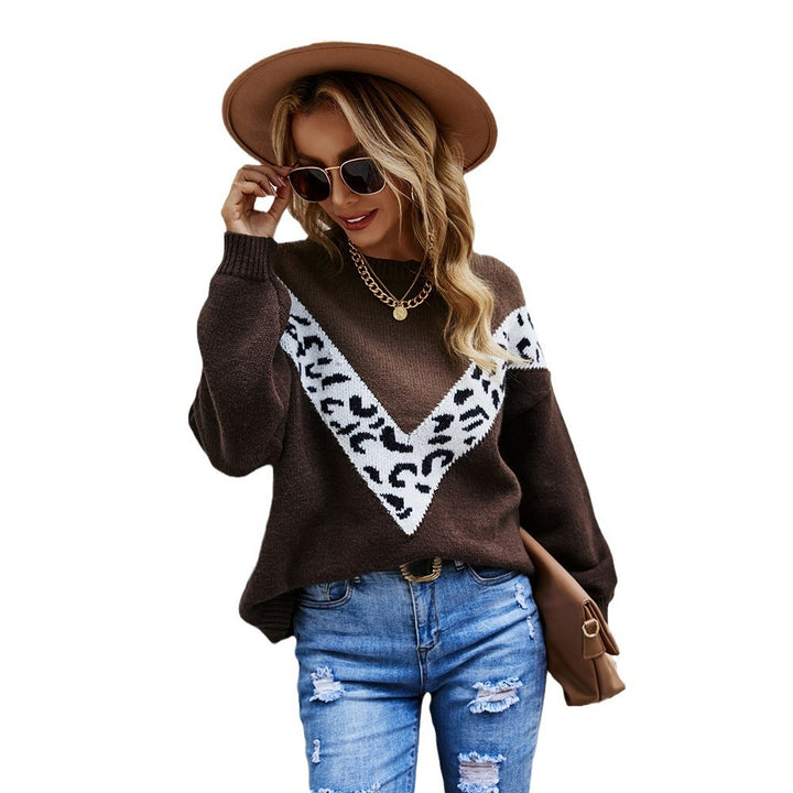Damer fashionable sweater med V-hals og dyre design Stilla