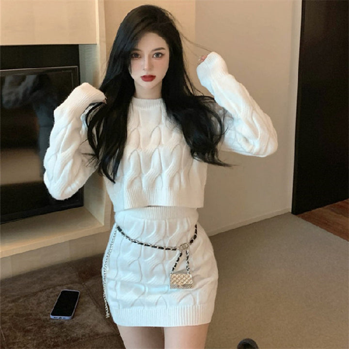 Femme Textured Knit Crop Sweater og Mini Skirt Sæt Stilla