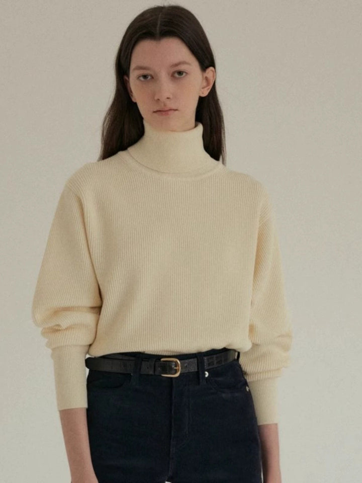 Damer rullekrave sweater med struktureret strikmønster og blød fornemmelse Stilla