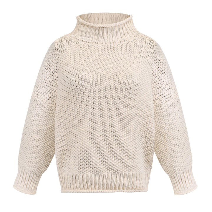 Dame chunky strikket turtleneck sweater med en afslappet pasform Stilla