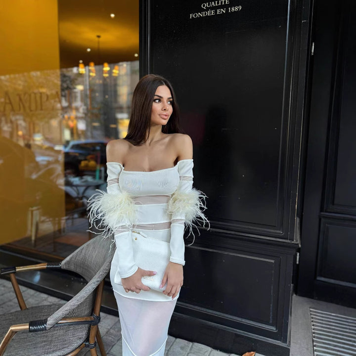 Dame Elegant kjole med transparente indlæg og fjerprydede ærmer Skovae