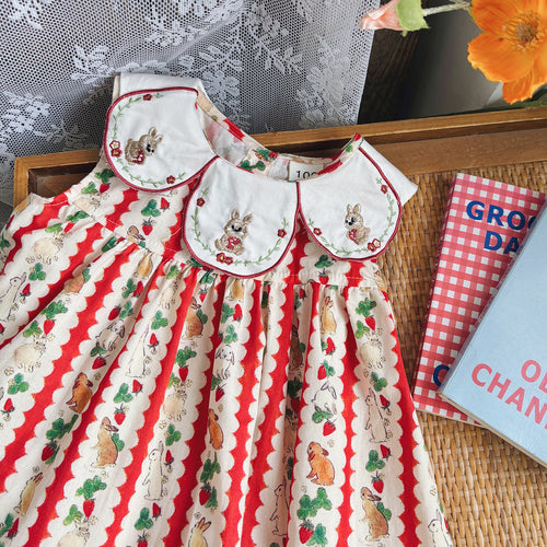 Pige vintage-inspireret blomster A-linie kjole med broderet krave Stilla