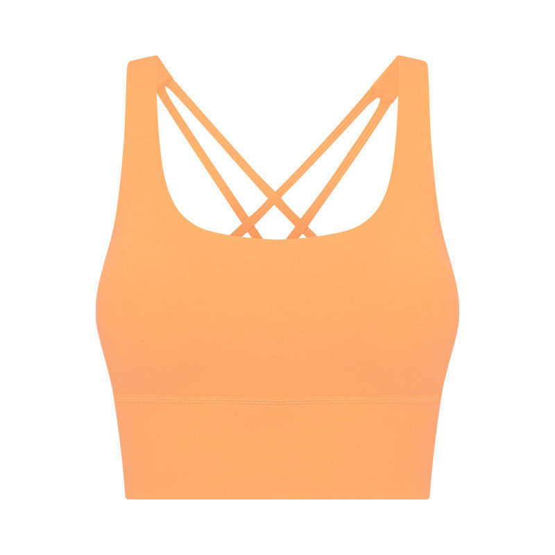 Stilla | Back Fixed Cup Sports Bra Medium Tenacity Yoga Pilates