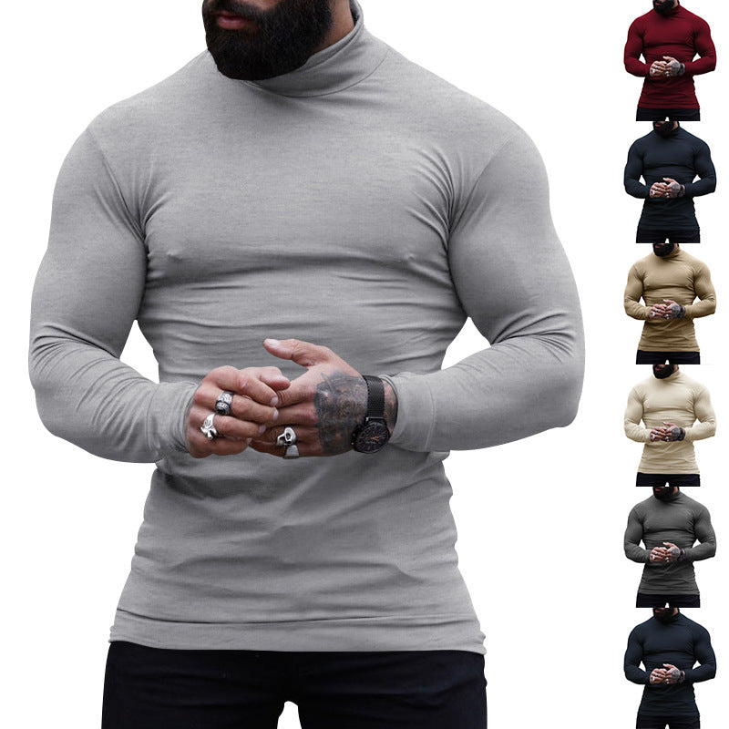 Herrer Langærmet Rullekrave Pullover Stilla