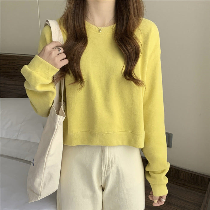 Kvinder casual cropped sweater lavet af blødt bomuldsblandingsmateriale med stilfuld rund halsudskæring Skovae