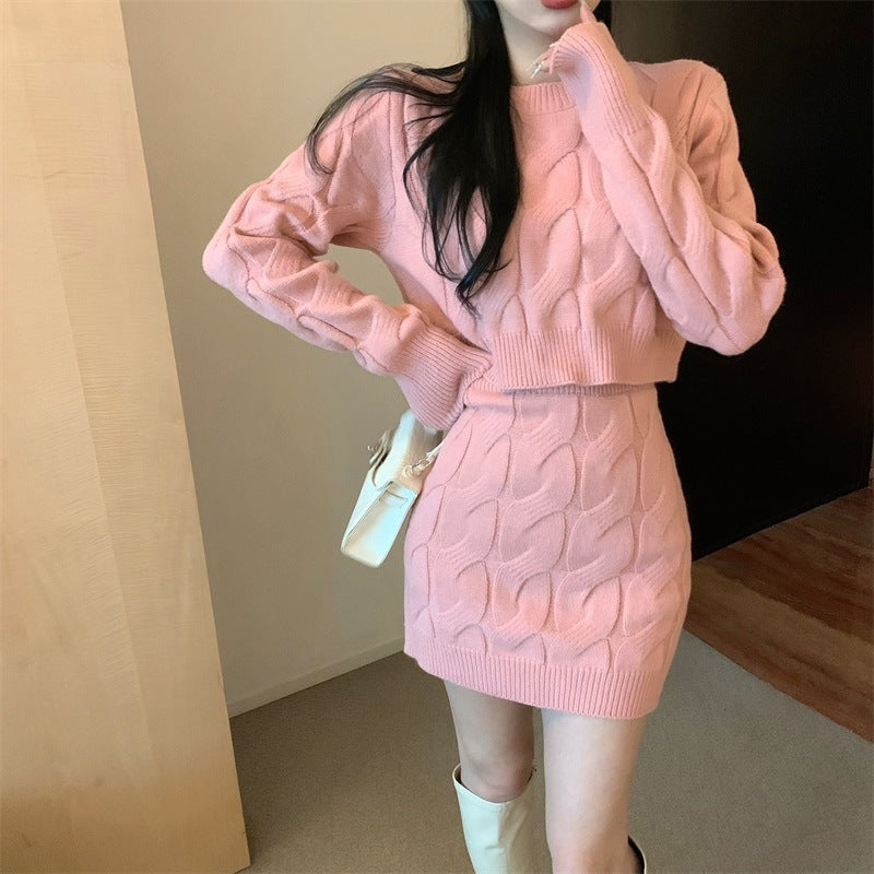 Femme Textured Knit Crop Sweater og Mini Skirt Sæt Stilla